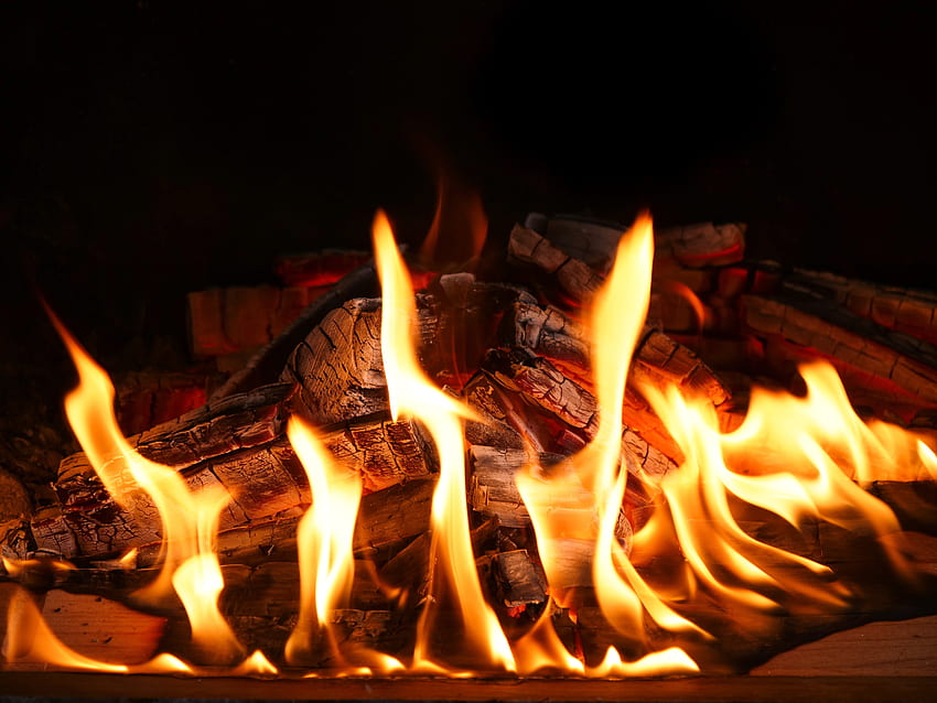 Fire, Bonfire, Flame, , , Ash HD wallpaper