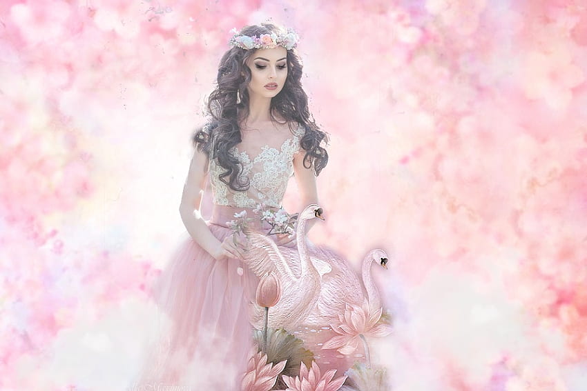 My Pink World, swans, white, pink, soft, beautiful, girl, ethereal HD wallpaper