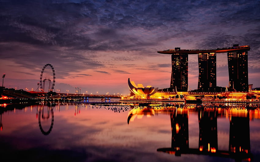 Singapore, evening, night, city, hotel City, nature, Singapore Landscape HD wallpaper