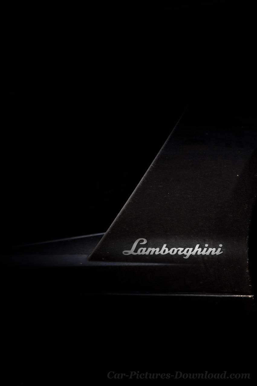Lamborghini Logo, Cool Lamborghini Logo HD phone wallpaper
