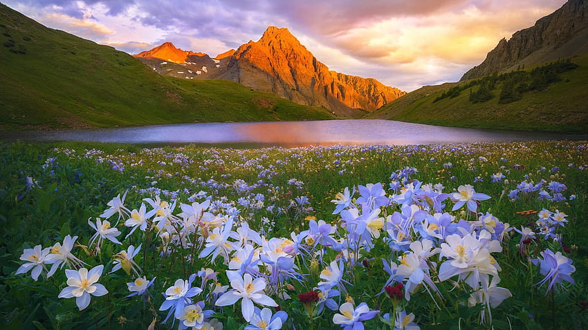 Frühlingsblumen, Blüten, See, Wildblumen, Akeleien, Wolken, Himmel, Berge HD-Hintergrundbild