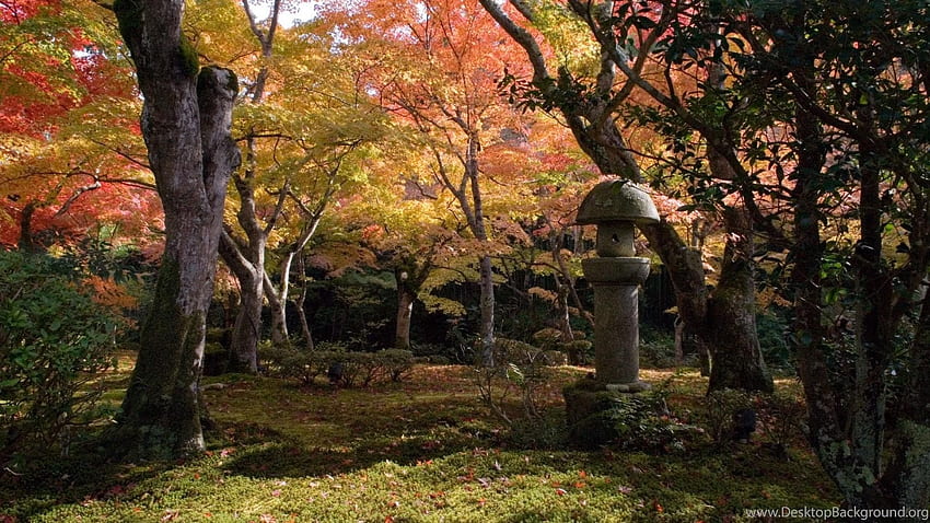 The Way Bunter Garten Kyoto Sonbahar Bahçesi HD duvar kağıdı