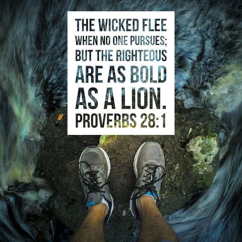 Proverbs 28:1 - Bold as a Lion - - Bible Verses To Go, Lion Motivation Bible HD phone wallpaper