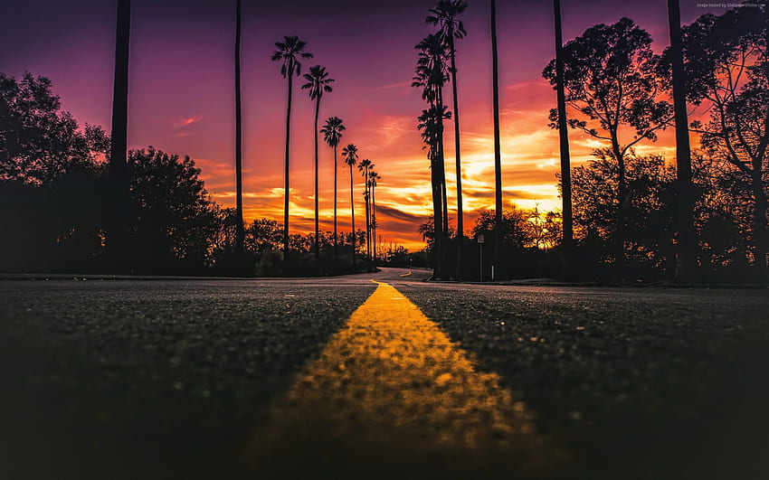 Los Angeles, Californie, route, palmiers, coucher de soleil et arrière-plan, palmiers de Californie Fond d'écran HD