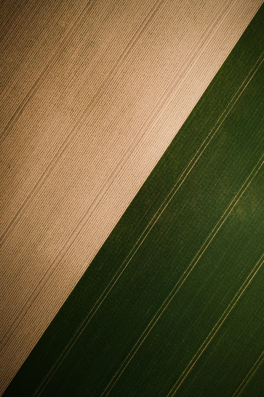 Grass, View From Above, Texture, Textures, Field, Stripes, Streaks HD phone wallpaper