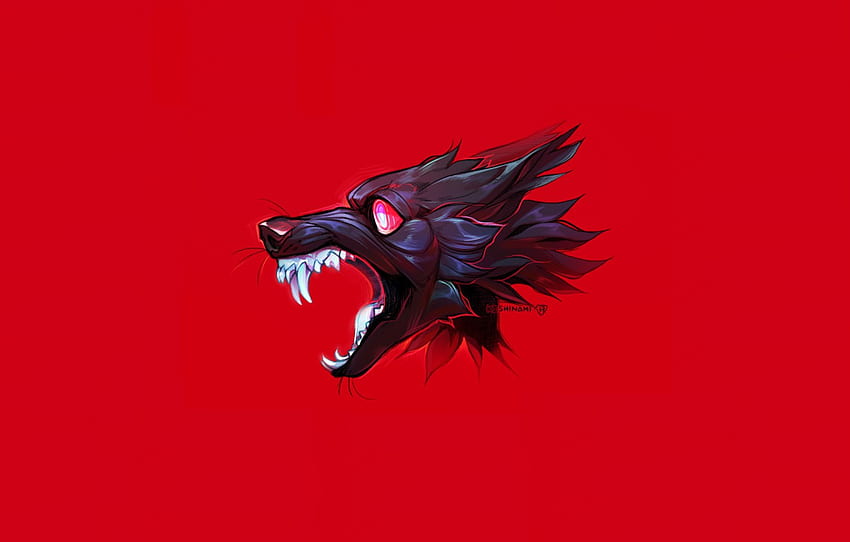 wolf, mouth, fangs for , section минимализм - HD wallpaper