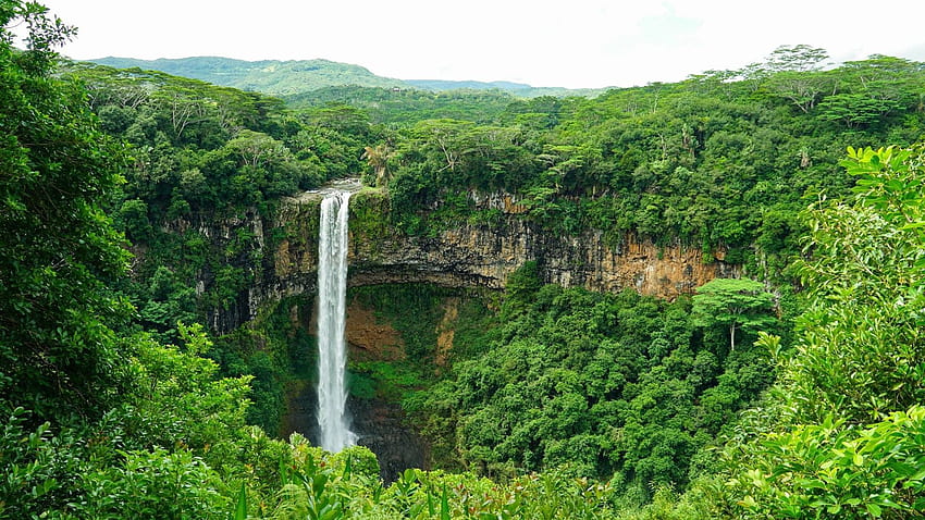 Cascata di Chamarel, Mauritius, stagno, fiori di campo, fiume, fiori, alberi, paesaggio, foresta Sfondo HD