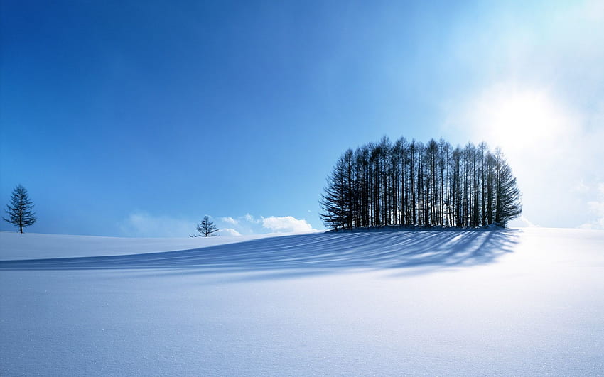 Kış Japonya, Hokkaido HD duvar kağıdı