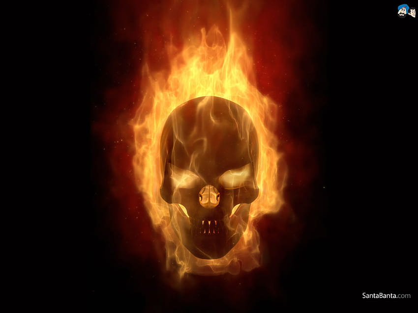 Fire Skull Viewing Gallery [] for your , Mobile & Tablet. Explore Fire Skull . Skulls , Live Skull for PC, Blue Fire Skull, Fire Skeleton HD wallpaper