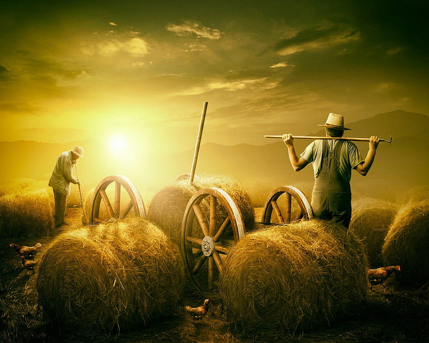 Agriculteur . Schtroumpf fermier, Farmer Boys et Farmer Tractor Barn, Indian Farmer Fond d'écran HD