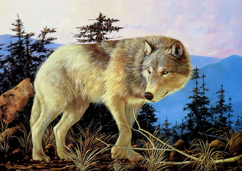 Beautiful painted Wolf, animal, spirit, painting, art, dogs, wolf HD wallpaper