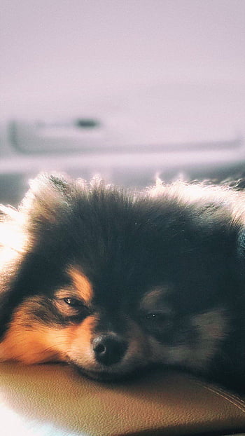 yeontan picture｜TikTok Search