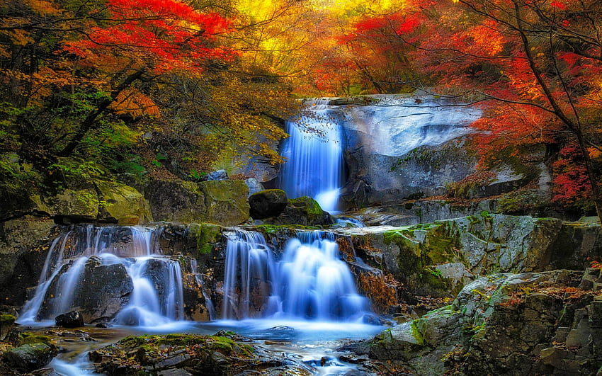 Waterfall in autumn forest, fall, colors, waterfall, cascades, autumn, beautiful, forest HD wallpaper