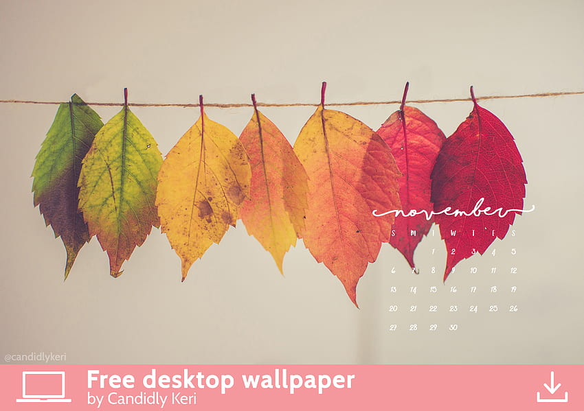 Pretty Leaf graphy colorful leaves yellow orange red November calendar 2016 you can for HD wallpaper