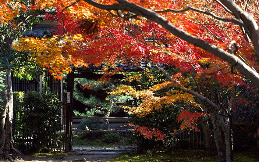 japan. 】 日本らしく 美しい壁紙 【Beautiful Japan, Japanese Fall HD wallpaper