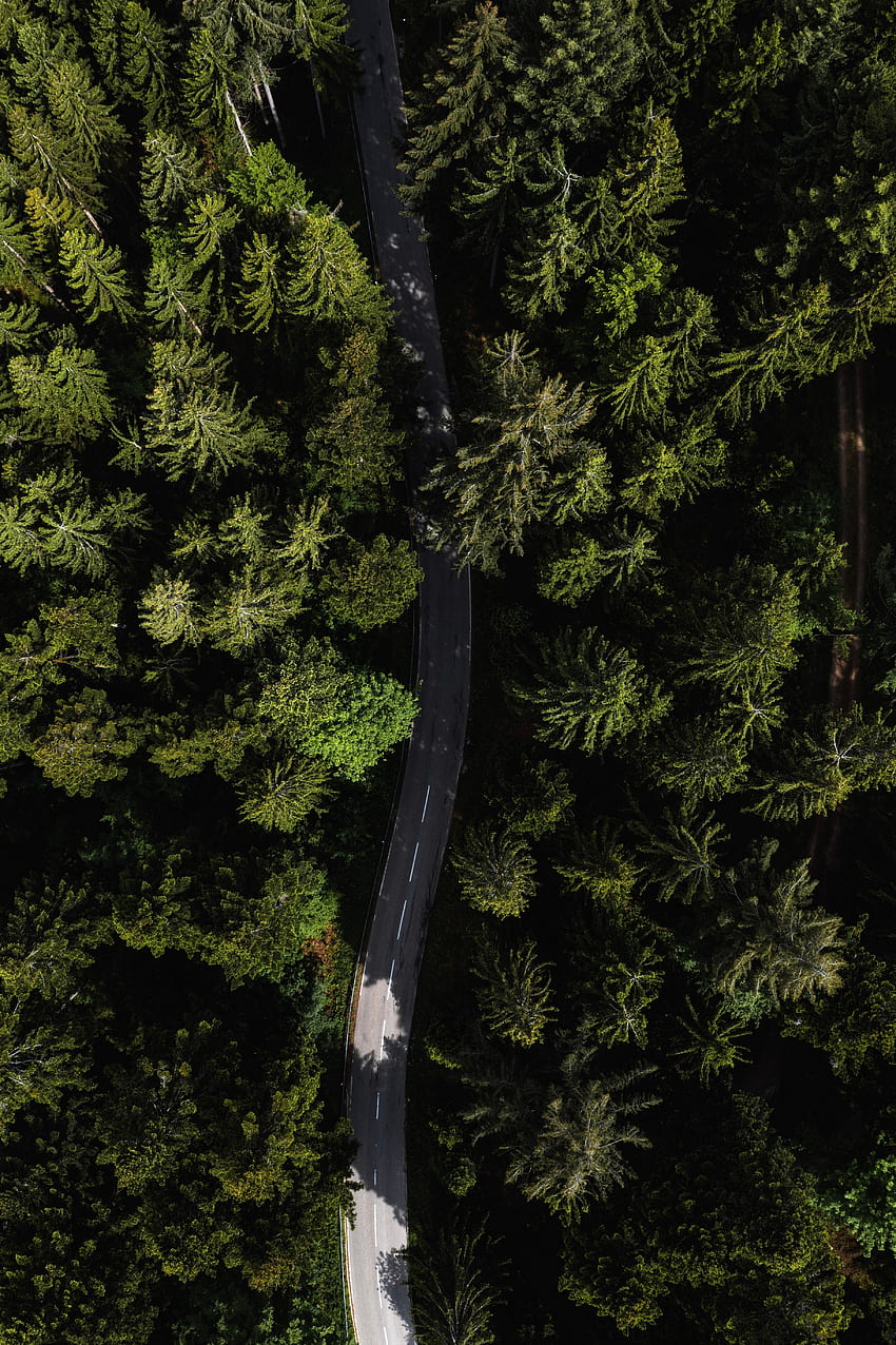 Strada attraverso boschi, veduta aerea, alberi, Foresta Nera, Germania Sfondo del telefono HD