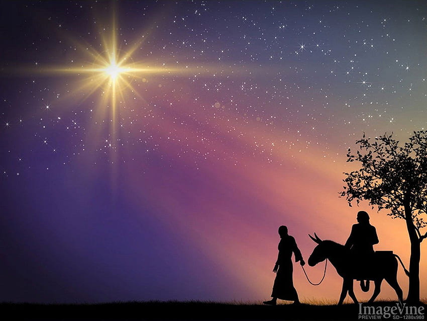 Christmas Background Bundle – Vine, Nativity Star HD wallpaper