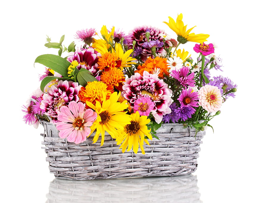 цвете Asters Zinnia Tagetes Dahlias Плетена кошница, 6000 X 4800 Цвете HD тапет