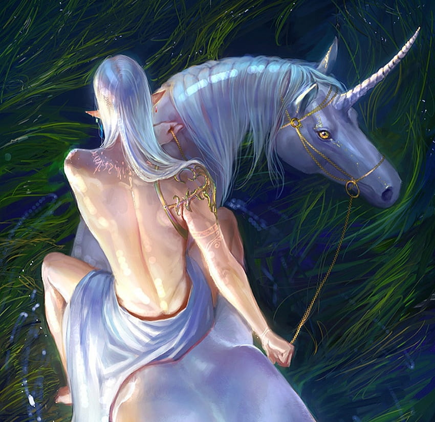 Riding the unicorn, view from the top, fantasy, pazyniuk, man, anndr, unicorn, rider, elf, art HD wallpaper