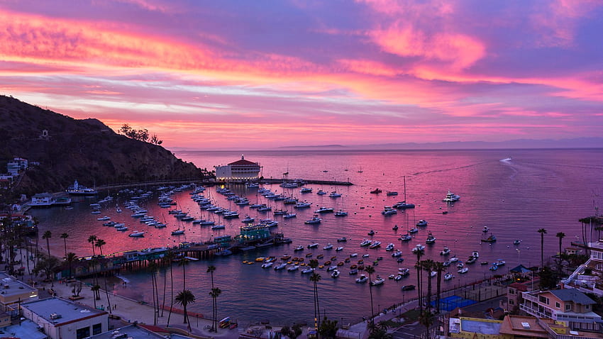 Catalina Island Webcam. Visit Catalina Island, Santa Catalina Island HD wallpaper