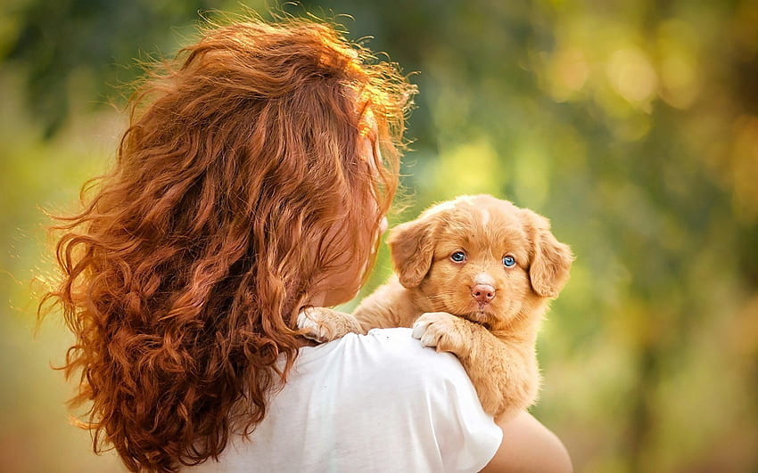 귀여운 작은 친구, 강아지, 머리, 동물, 여자 HD 월페이퍼
