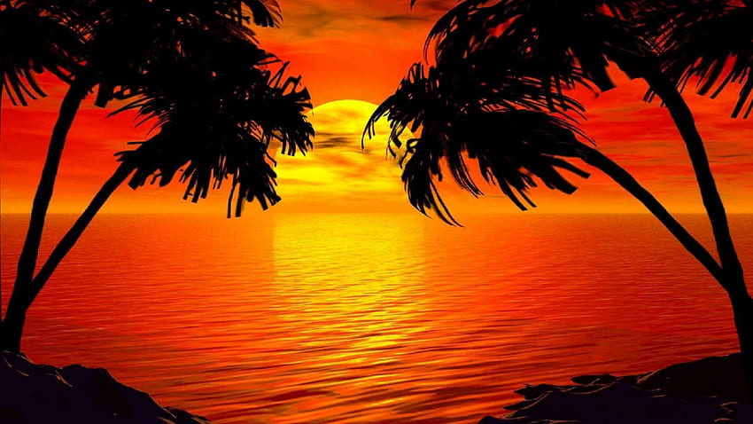 Background Tumblr Red Trees, Paradise Sunset HD wallpaper | Pxfuel
