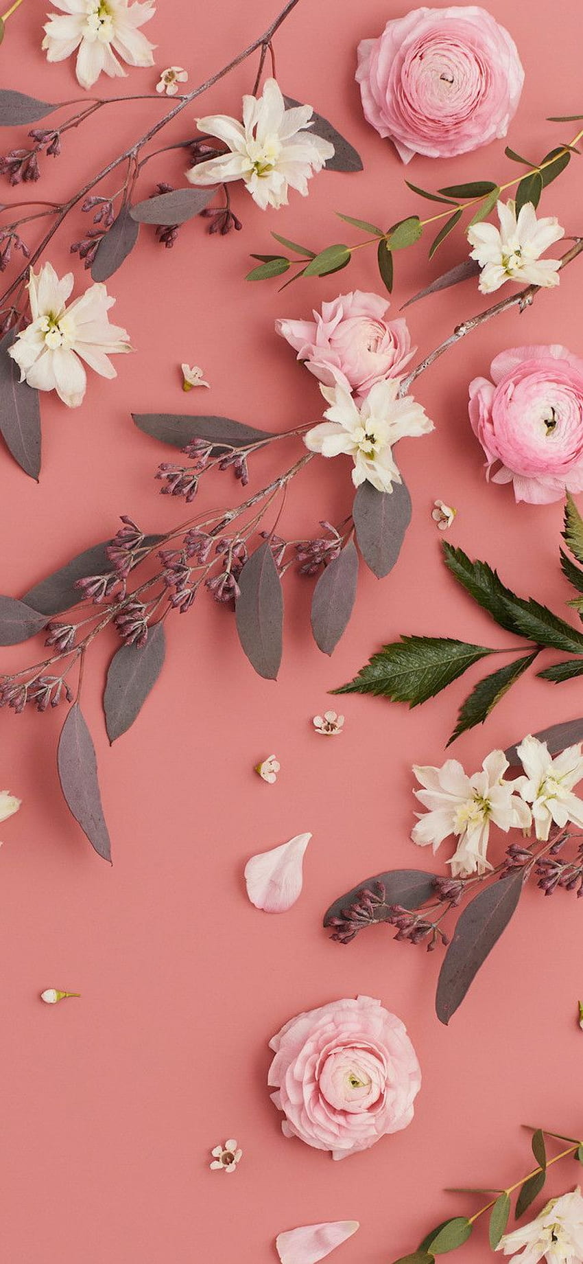 untuk estetika cantik untuk ponsel dan laptop, Pink Flowers Aesthetic wallpaper ponsel HD