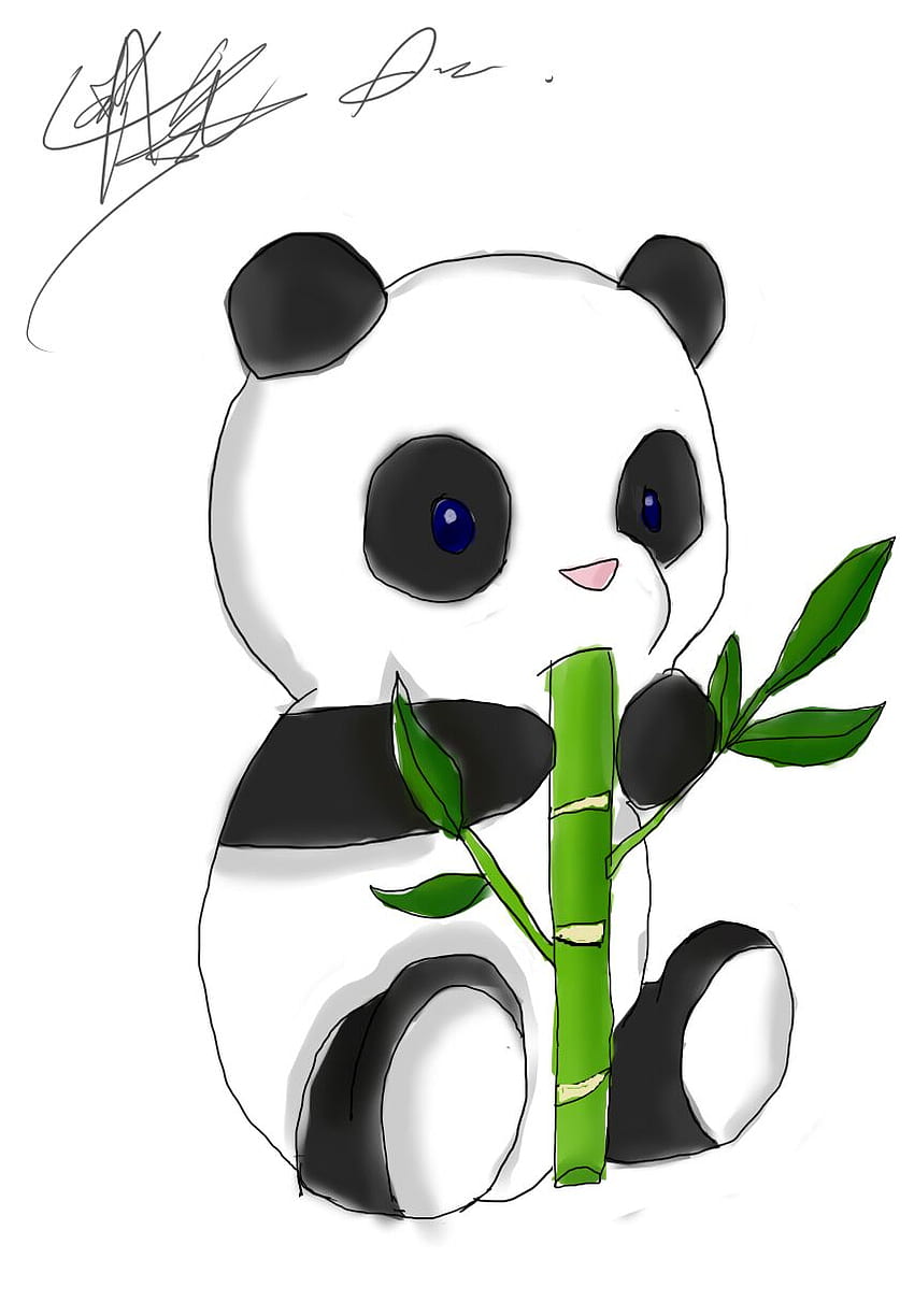 Kawaii Śliczna Panda, Panda Boy Tapeta na telefon HD