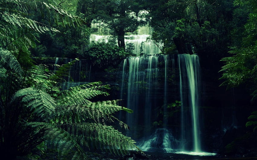 45 Forest Waterfall at Bro [] for your , Mobile & Tablet. Explore Aesthetic Green PC . Aesthetic Green PC , Aesthetic Green, Aesthetic HD wallpaper