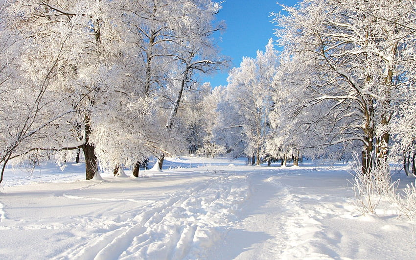冬季の雪景色 高画質の壁紙