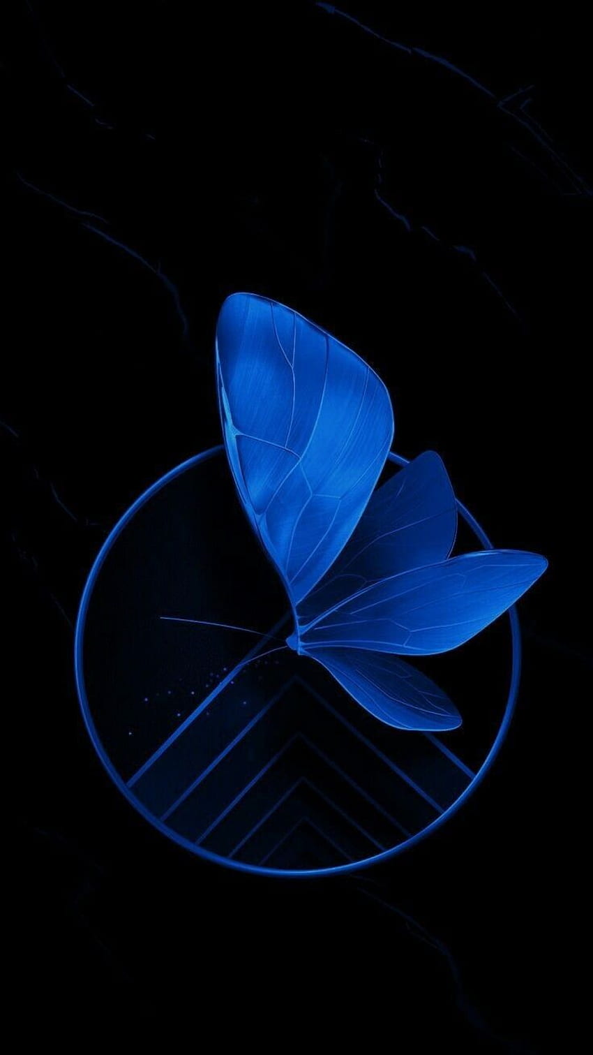 Niebieski motyl, ciemnoniebieski motyl Tapeta na telefon HD