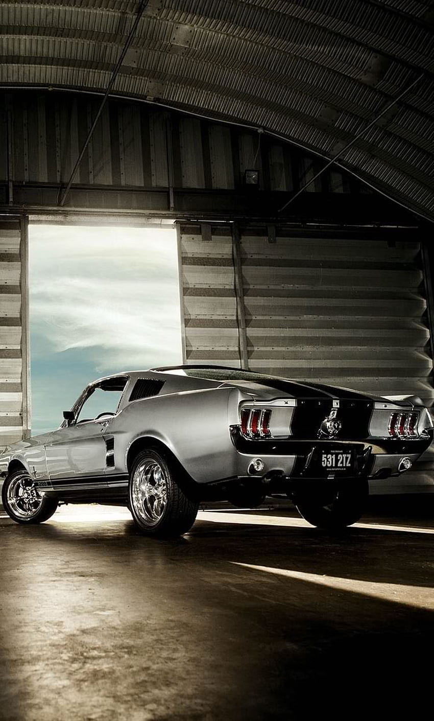 Carros/ Cars - Fondos De Pantalla De Mustang Shelby, Tumblr Car HD