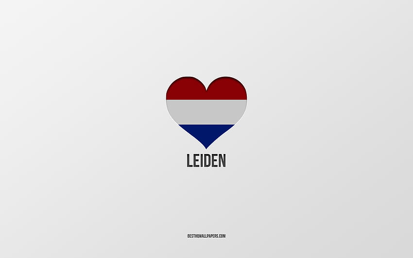 I Love Leiden, Dutch cities, Day of Leiden, gray background, Leiden, Netherlands, Dutch flag heart, favorite cities, Love Leiden HD wallpaper