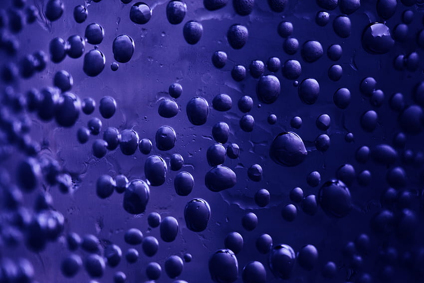 Bubbles, Violet, Texture, Textures, Blur, Smooth, Surface, Purple HD wallpaper