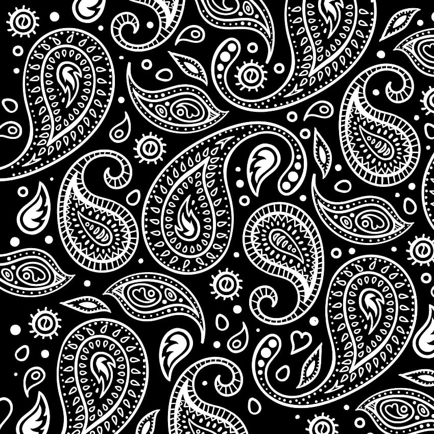 Scrappychicks On Vinyl. Paisley art, Paisley pattern, Pattern art, Black and White Paisley HD phone wallpaper