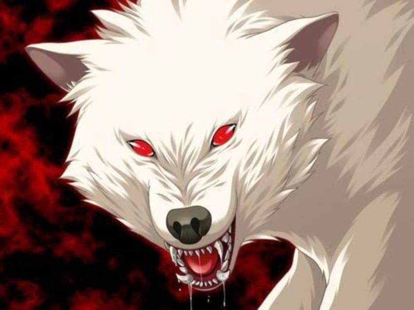 white wolf with red eyes anime