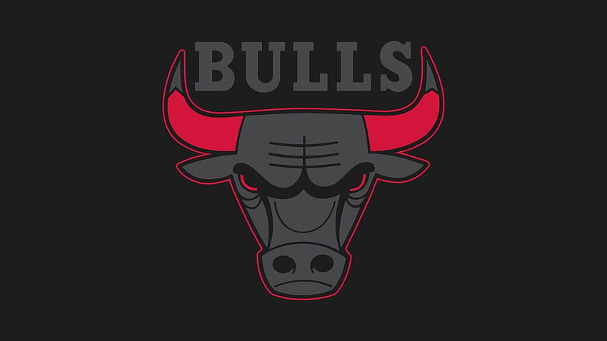 Chicago Bulls Logo, Black Bulls Logo HD wallpaper