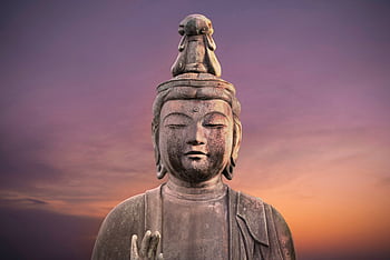 Peace Buddha, Buddha Meditation HD phone wallpaper | Pxfuel