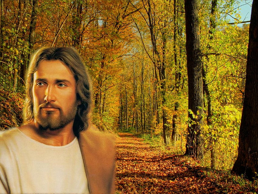 Исус, пътят, бог, пътека, Исус, есента, Христос, гората, религията, християнството HD тапет