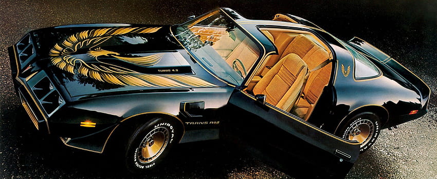 1980 Pontiac Firebird Trans Am, pássaro fênix, firebird, trans am, pontiac papel de parede HD