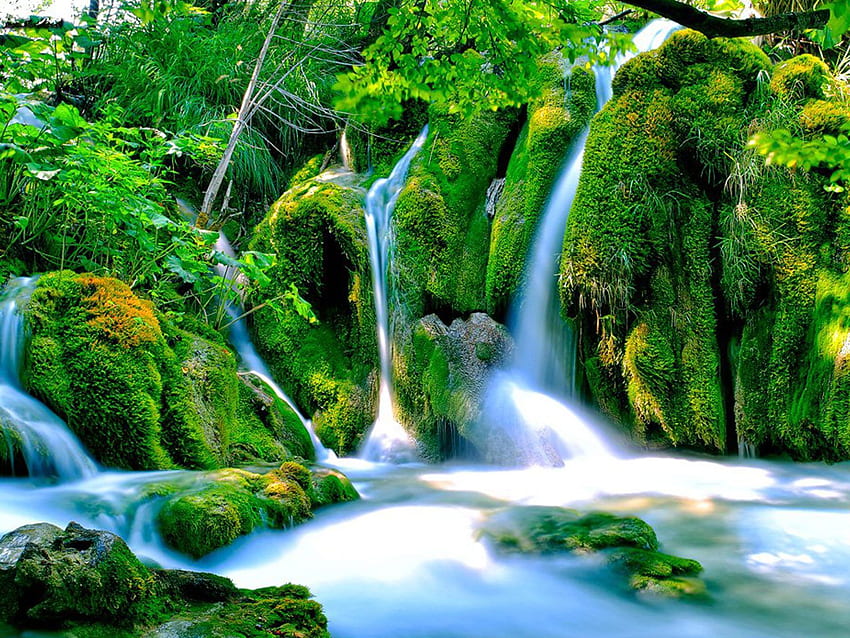 Park Narodowy Jezior Plitwickich W Chorwacji Wodospad Kamienie Zielony Mech Roślinność Tapeta HD