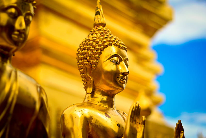 Buddha, , , Statue, Buddhism, Thailand, Religion HD wallpaper