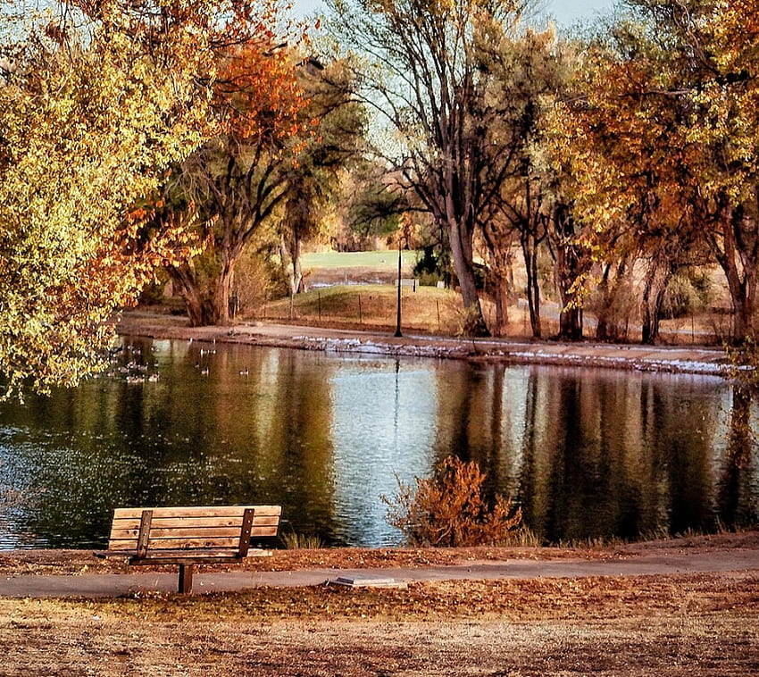 Bench at the Pond, Nature, Bench, Pond, Autumn HD wallpaper | Pxfuel