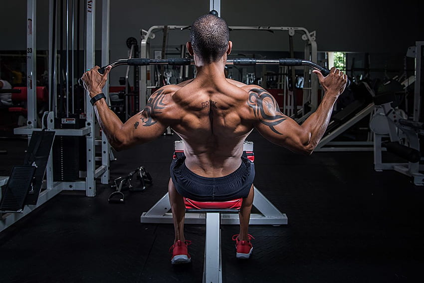 入れ墨 男性 筋肉 トレーニング 人間の背中 アスレチック ボディービル 高画質の壁紙