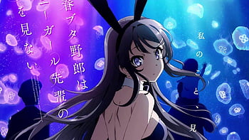 Seishun Buta Yarou wa Bunny Girl Senpai no Yume wo Minai] : r/animenocontext