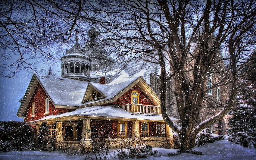 บ้านต้นไม้ หิมะ สไตล์แฟนตาซี บ้านคริสต์มาสฤดูหนาว โฮมคริสต์มาส วอลล์เปเปอร์ HD