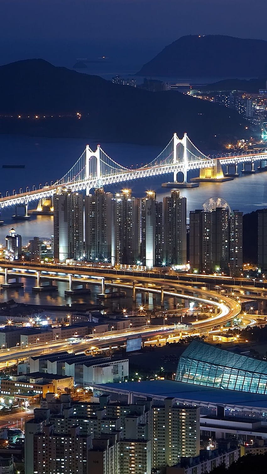 south korea, busan, top view, night HD phone wallpaper