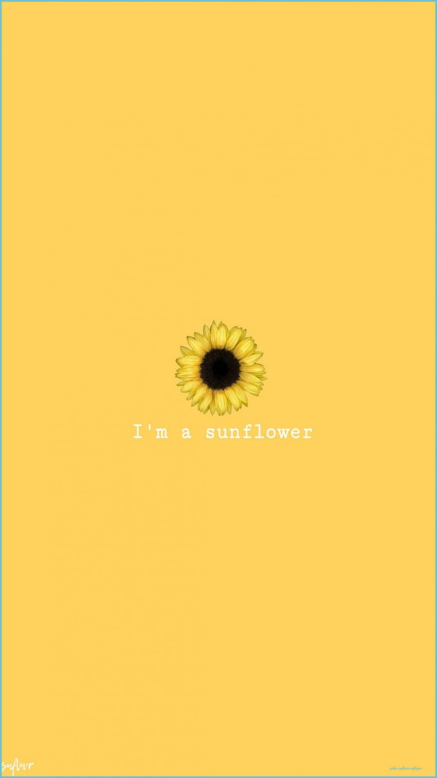 Sunflower Yellow , Sunflower , Cute - Yellow Sunflower HD phone ...