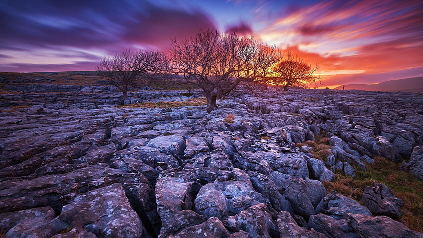 Alberi da giardino in pietra cresciuti nel terreno da rocce Nuvole rosse nel cielo Ultimi raggi del sole Tramonto Sfondo HD