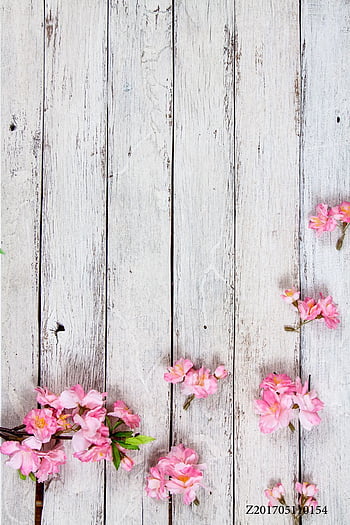 Spring Flowers On Wood Wallpapers  Wallpaper Cave